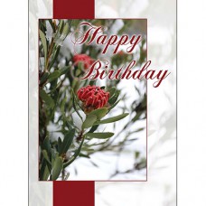 INSPIRAZIONS GREETING CARD Birthday Flower